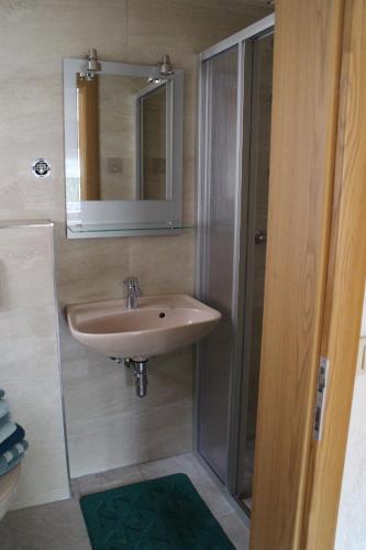 a bathroom with a sink and a mirror and a shower at Ferienhaus Dani in Bad Gottleuba