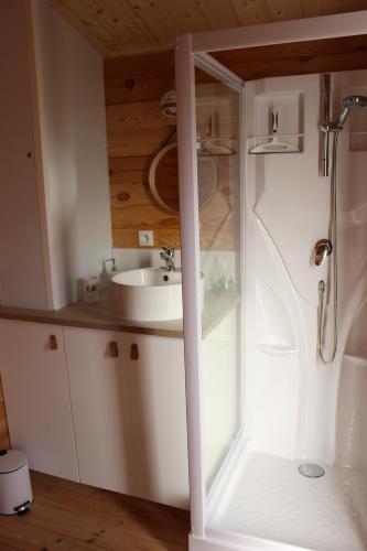a bathroom with a sink and a shower at CHALET ESPRIT ZEN et NATURE AVEC SPA in Saint-Hilaire-de-Riez