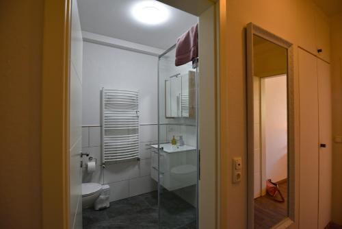 een badkamer met een toilet, een wastafel en een spiegel bij Weinbach Wohnungen in Deidesheim