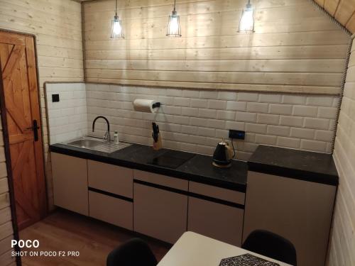 uma pequena cozinha com um lavatório e um balcão em Domki letniskowe Kama 514-280-102 em Solina