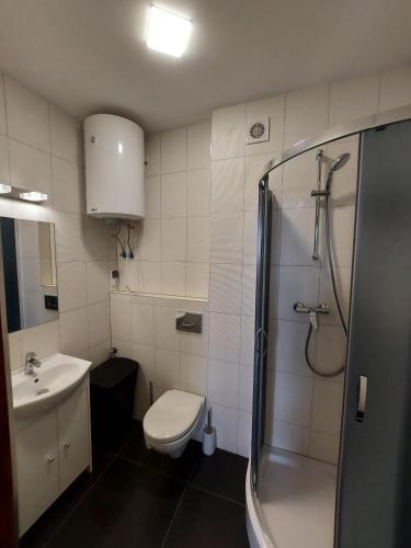 Phòng tắm tại Nowoczesny apartament w zacisznym sercu Torunia.