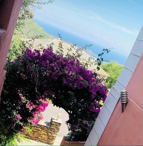 Φυσικό τοπίο κοντά σε αυτό το ξενοδοχείο