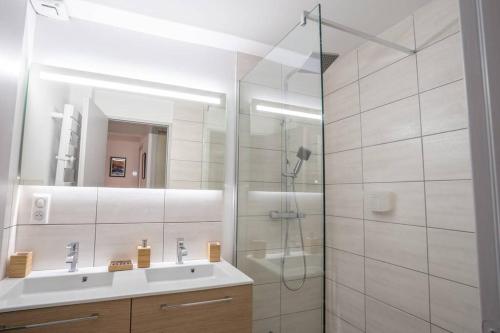 La salle de bains est pourvue d'une douche, d'un lavabo et d'un miroir. dans l'établissement La veilleuse - Appartement au cœur du centre ville, à Limoges