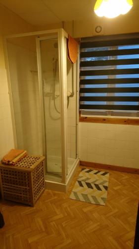 a bathroom with a shower and a window at Scotland Paradise Relax Accommodation by Shooting Club Kirriemuir in Balintore