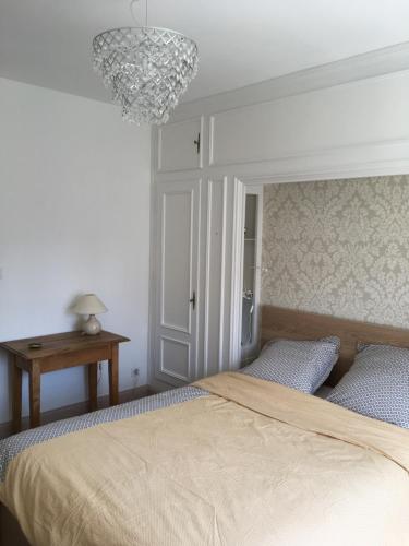 a bedroom with a bed and a chandelier at Pyramides22 maison de ville de charme in Mulhouse