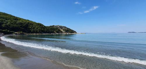 a beach with the ocean and trees in the background at ΑRILLA STUDIOS in Perdika