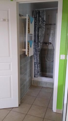 a bathroom with a shower with a shower curtain at Le Petit St Clair in Le Puy en Velay
