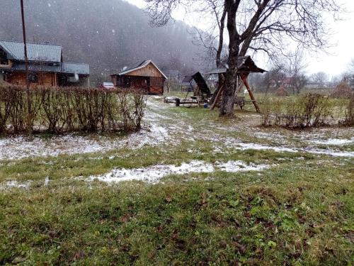 a snowy field with a tree and a playground at Садиба Федорчуків За рікою1 in Sheshory