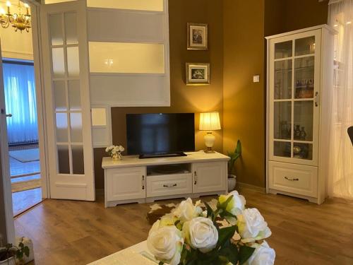a living room with a tv and a vase of flowers at Apartment Kalina in Novi Sad