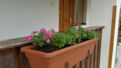 Zahrada ubytování Élő Tisza Vendégház