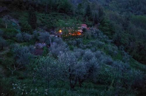 Φυσικό τοπίο κοντά σε αυτό το bed & breakfast
