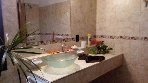 a bathroom with a sink with a large bowl at Los algarrobos in Villa Carlos Paz