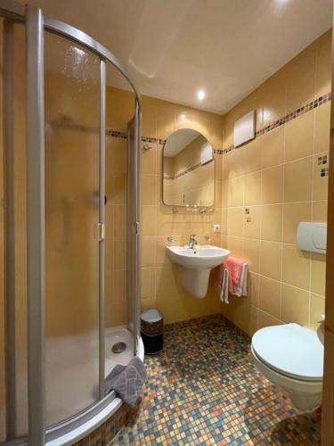 a bathroom with a shower, toilet and sink at Waldhotel Zöbischhaus in Bad Reiboldsgrün