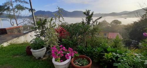 Paisaje cerca de esta habitación en casa particular
