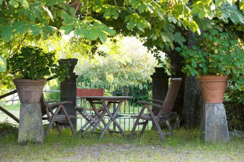 ヴィテルボにあるVilla Farinellaの木の下のピクニックテーブルと椅子