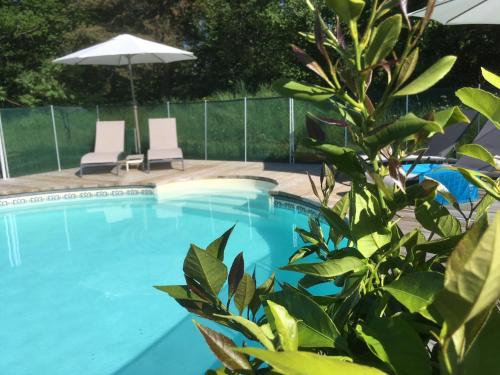 une piscine avec deux chaises et un parasol dans l'établissement La Toile sous Les Étoiles, à Charron