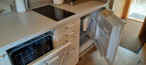 a kitchen with a sink and a dishwasher at Villa Shafaly in Mariánské Lázně