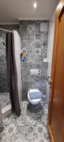 a bathroom with a toilet and a shower at Villa Shafaly in Mariánské Lázně