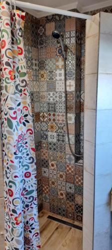 a shower in a bathroom with a shower curtain at Villa Shafaly in Mariánské Lázně