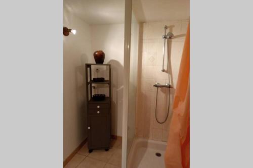 a bathroom with a shower with a sink and a toilet at Maison Bretagne proche Penestin port La Roche Bernard 5 à 6 pers in La Roche-Bernard