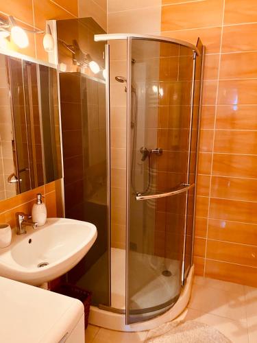 a bathroom with a shower and a sink at Victoria Apartman in Eger