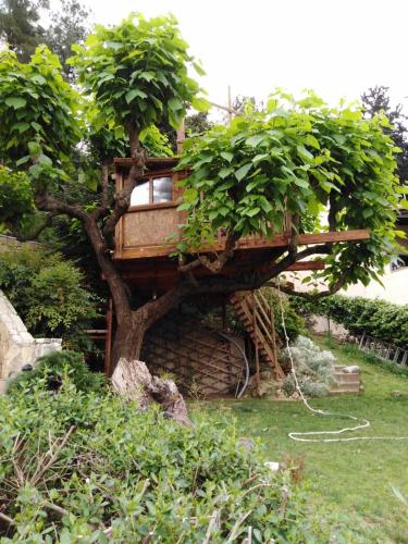 Jardín al aire libre en Six Steps From The Forest