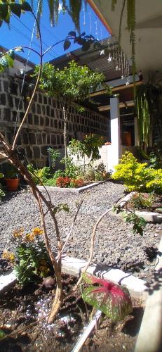 a garden with flowers and plants on the ground at Casa LLEMO in San Pedro La Laguna