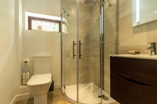 a bathroom with a shower and a toilet and a sink at The Mills Guesthouse in Hatfield