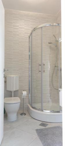 a bathroom with a shower and a toilet at Ferienhaus ToMa in Cesarica