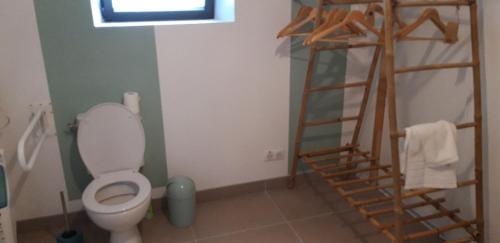 a bathroom with a toilet and a wooden ladder at La grange du moulin in Saint-Christophe