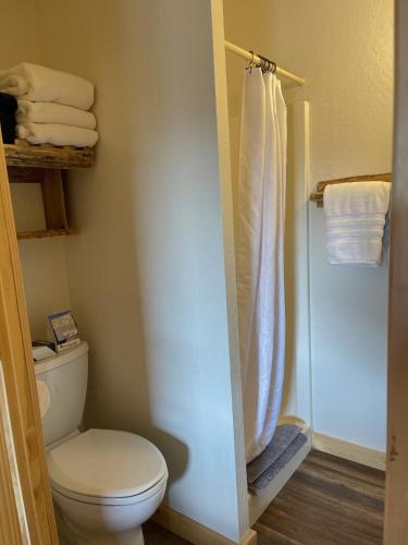 a bathroom with a toilet and a shower with towels at Mountain View Lodge & Cabins in Hill City