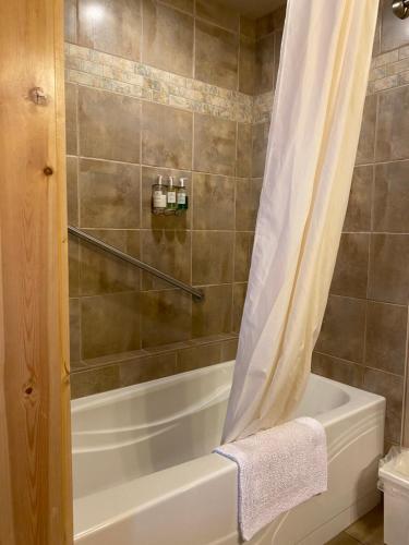Koupelna v ubytování Twisp River Suites