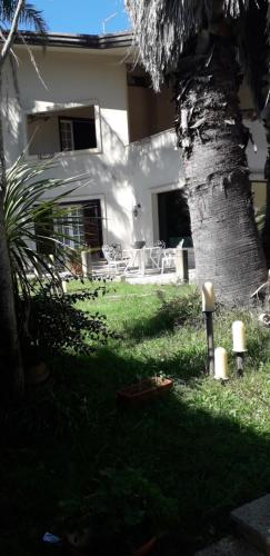 a palm tree in the yard of a house at B&B Villa Victoria in Ragusa