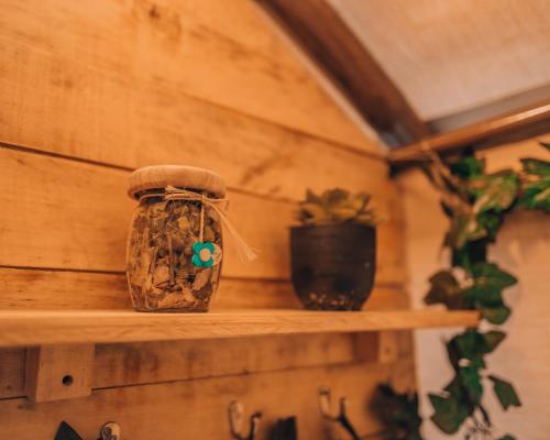 タビオにあるGlamping rio frio Tabioのギャラリーの写真