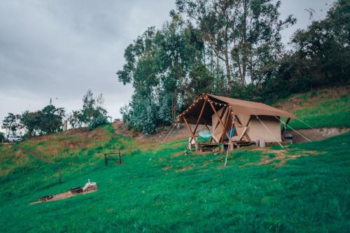 タビオにあるGlamping rio frio Tabioの草原の上のテント