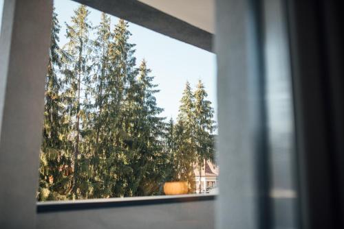 a window with a view of trees from a house at Vila Fabesca in Sovata