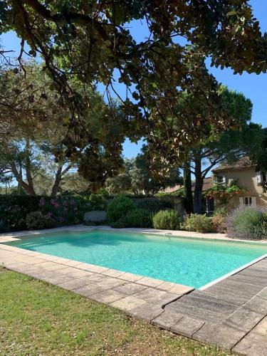 une petite piscine bleue dans une cour arborée dans l'établissement Maison Les Chênes, à Eygalières