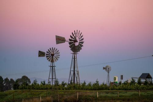 a group of windmills sitting in a field at Brahman Hills - Gardens, Hotel & Cottages in Nottingham Road