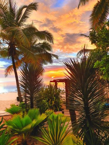 a view of a beach with palm trees and a sunset at Boutique Hotel Matlai in Michamvi