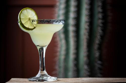 a drink in a glass with a lime on a table at Vincci EverEden in Anavissos