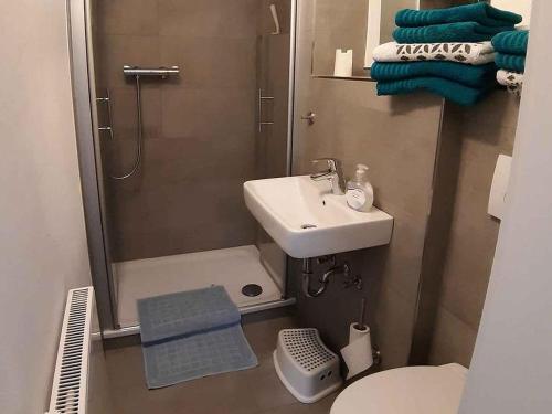 een badkamer met een wastafel, een toilet en een douche bij Ferienwohnung Peitz in Eslohe