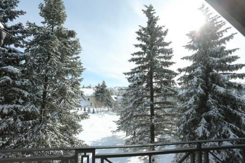 a view from a balcony with snow covered trees at Mipet apartmani in Zlatibor
