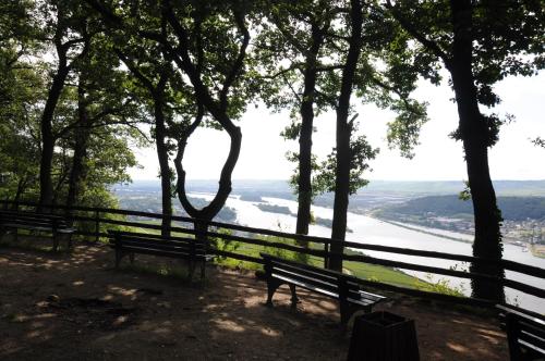 two benches on a hill with a view of a river at Hotel Krone Rüdesheim in Rüdesheim am Rhein