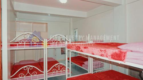Habitación con 2 literas en una habitación en Private Resort in Laguna: Casita de Ruby, en Maitim