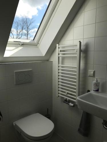 a bathroom with a window and a toilet and a sink at Vlasoven loft in Noordwijkerhout