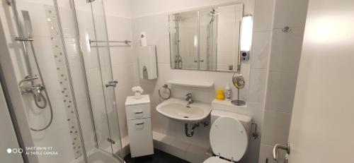 La salle de bains est pourvue d'un lavabo, de toilettes et d'une douche. dans l'établissement Strandfee, à Grömitz