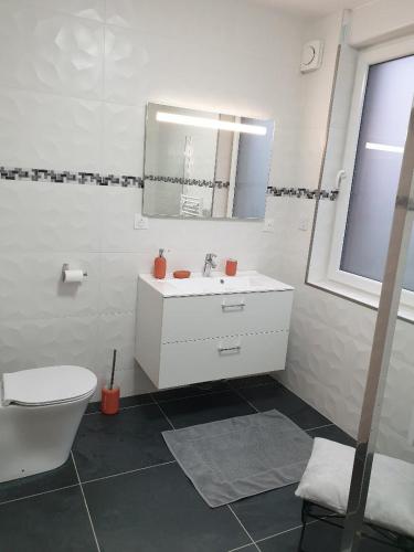 a bathroom with a sink and a toilet and a mirror at La Clef des Champs in Potelle
