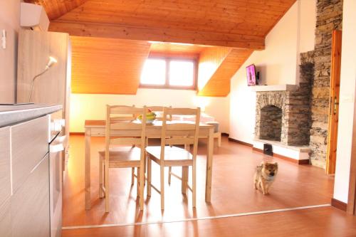 Kuchyň nebo kuchyňský kout v ubytování Trarego haus