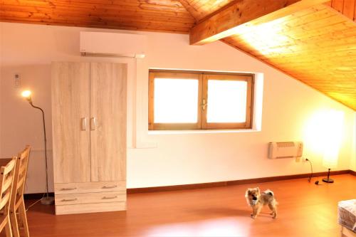Fotografie z fotogalerie ubytování Trarego haus v destinaci Trarego