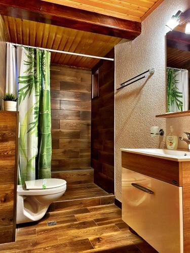 a bathroom with a toilet and a sink at Pensiunea Apfelhaus in Cisnadioara